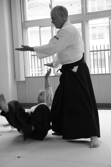 Aikido Teaching & Training